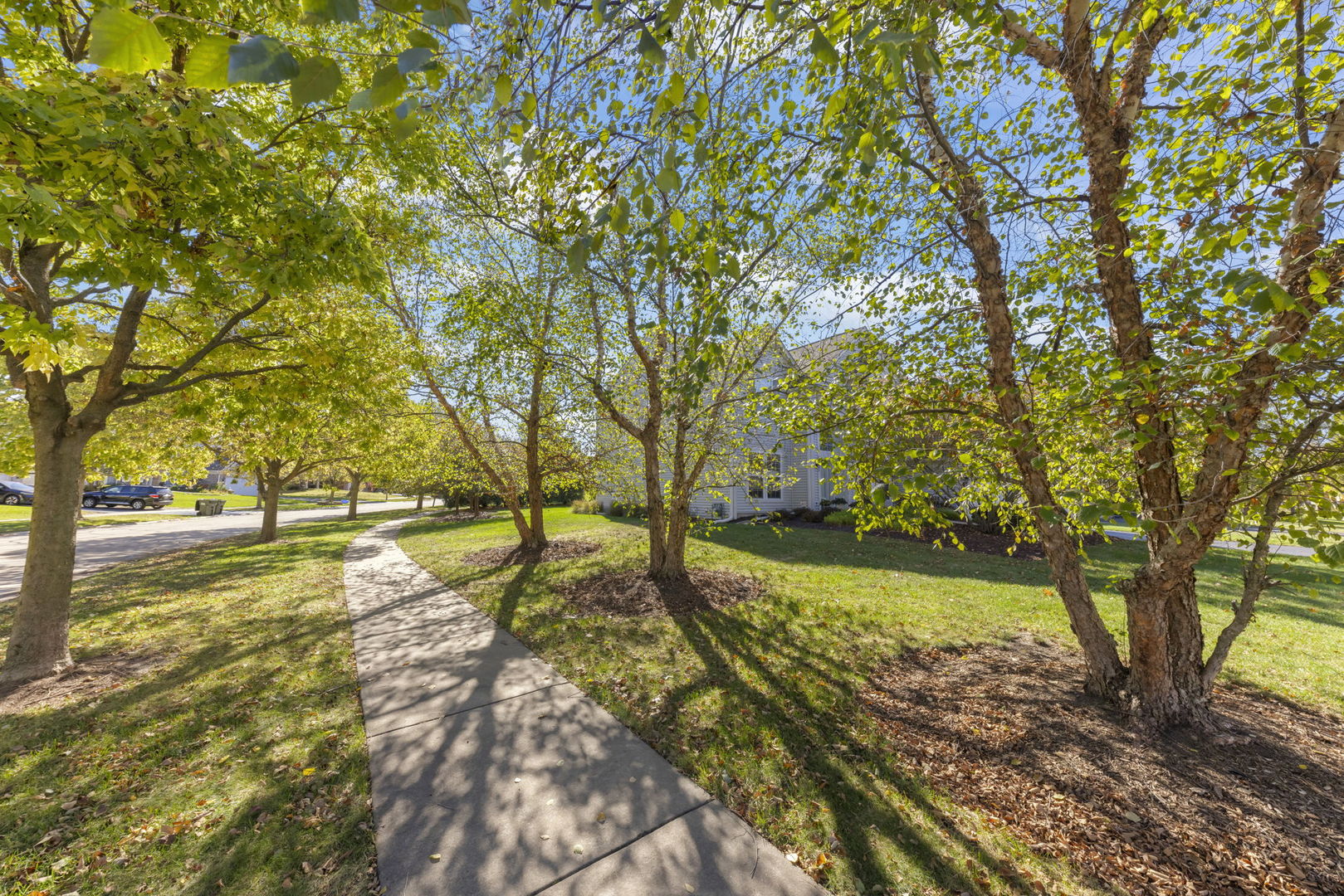 1 Firethorn Court Bolingbrook IL 60490