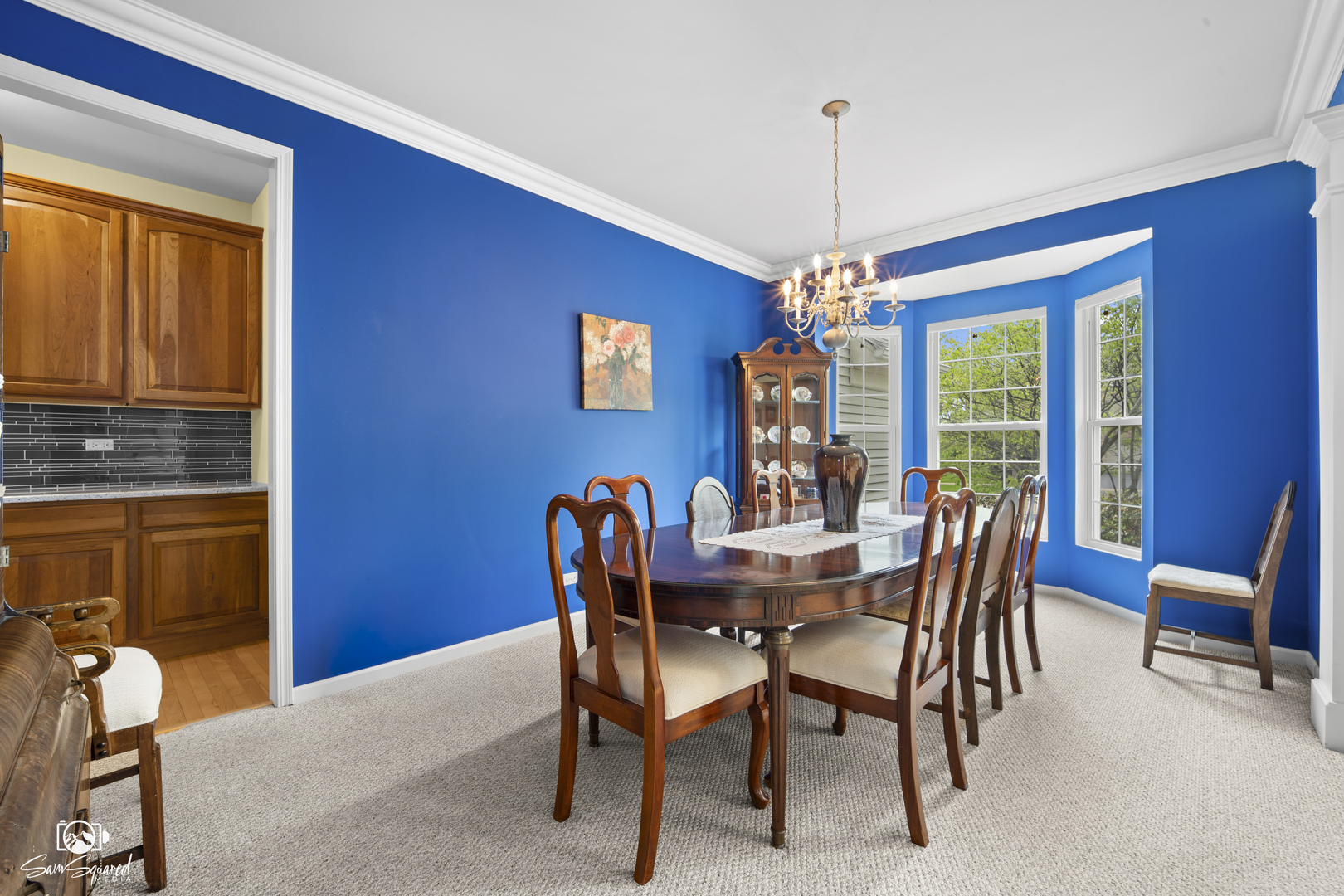 1 Firethorn Court Bolingbrook IL 60490