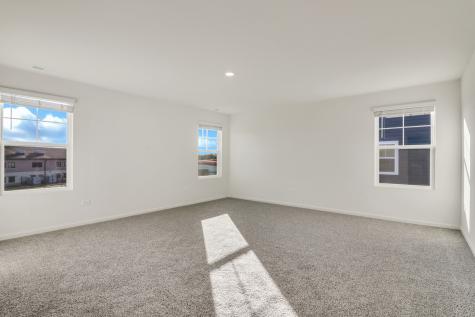 1266 Tiger Lily Drive Bartlett IL 60103