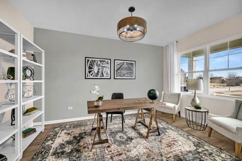 1266 Tiger Lily Drive Bartlett IL 60103