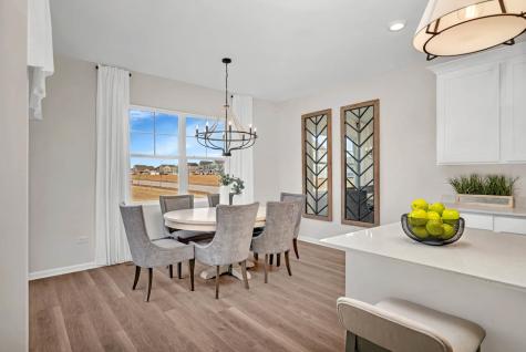 1266 Tiger Lily Drive Bartlett IL 60103