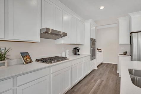 1266 Tiger Lily Drive Bartlett IL 60103