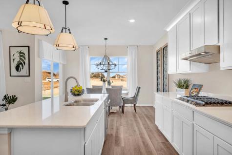 1266 Tiger Lily Drive Bartlett IL 60103