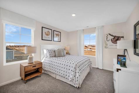 1266 Tiger Lily Drive Bartlett IL 60103