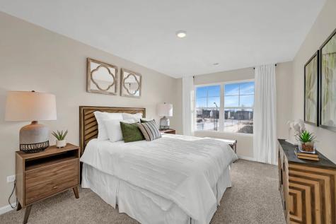 1266 Tiger Lily Drive Bartlett IL 60103