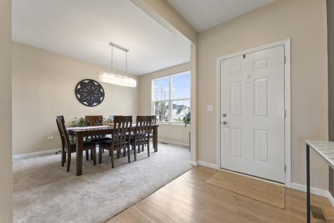 1017 Kessler Drive Mundelein IL 60060
