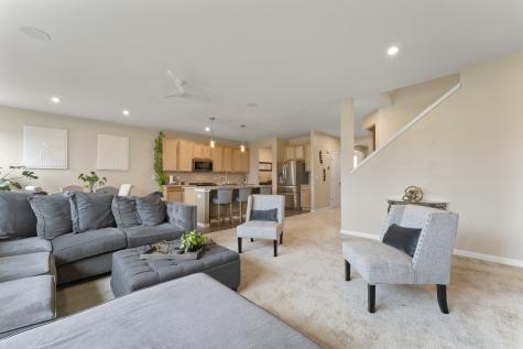 1017 Kessler Drive Mundelein IL 60060