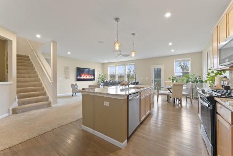 1017 Kessler Drive Mundelein IL 60060