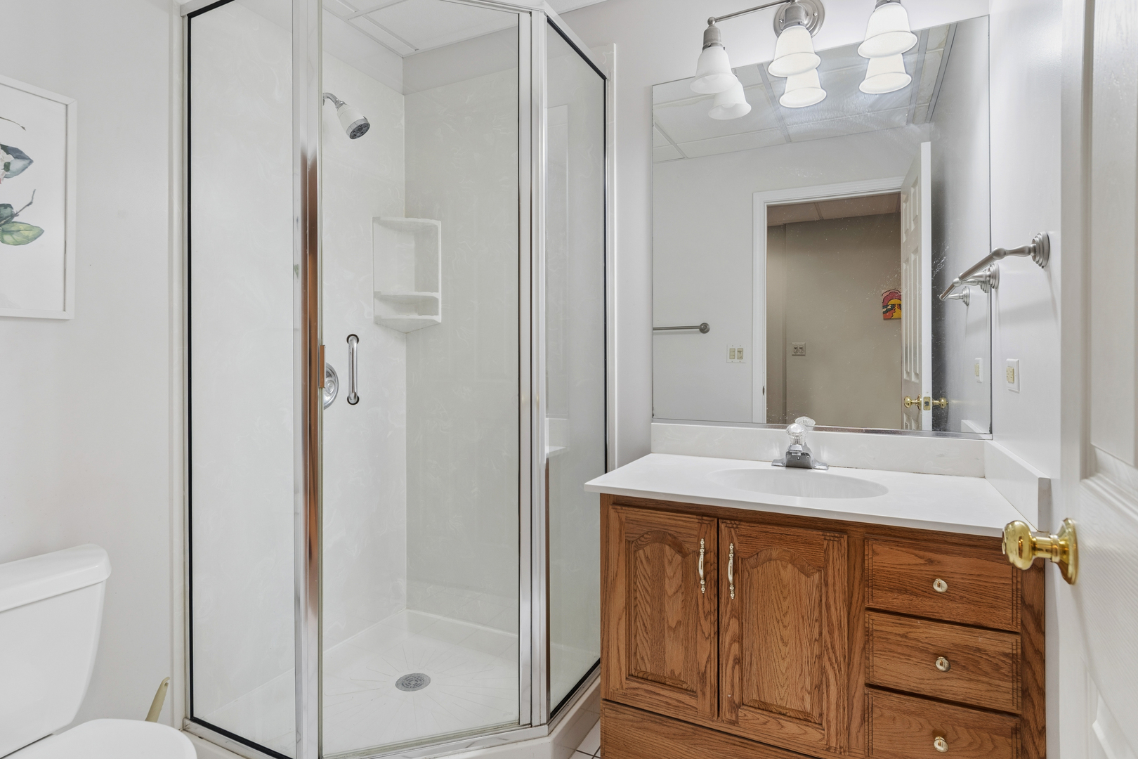 628 Windham Lane Naperville IL 60563