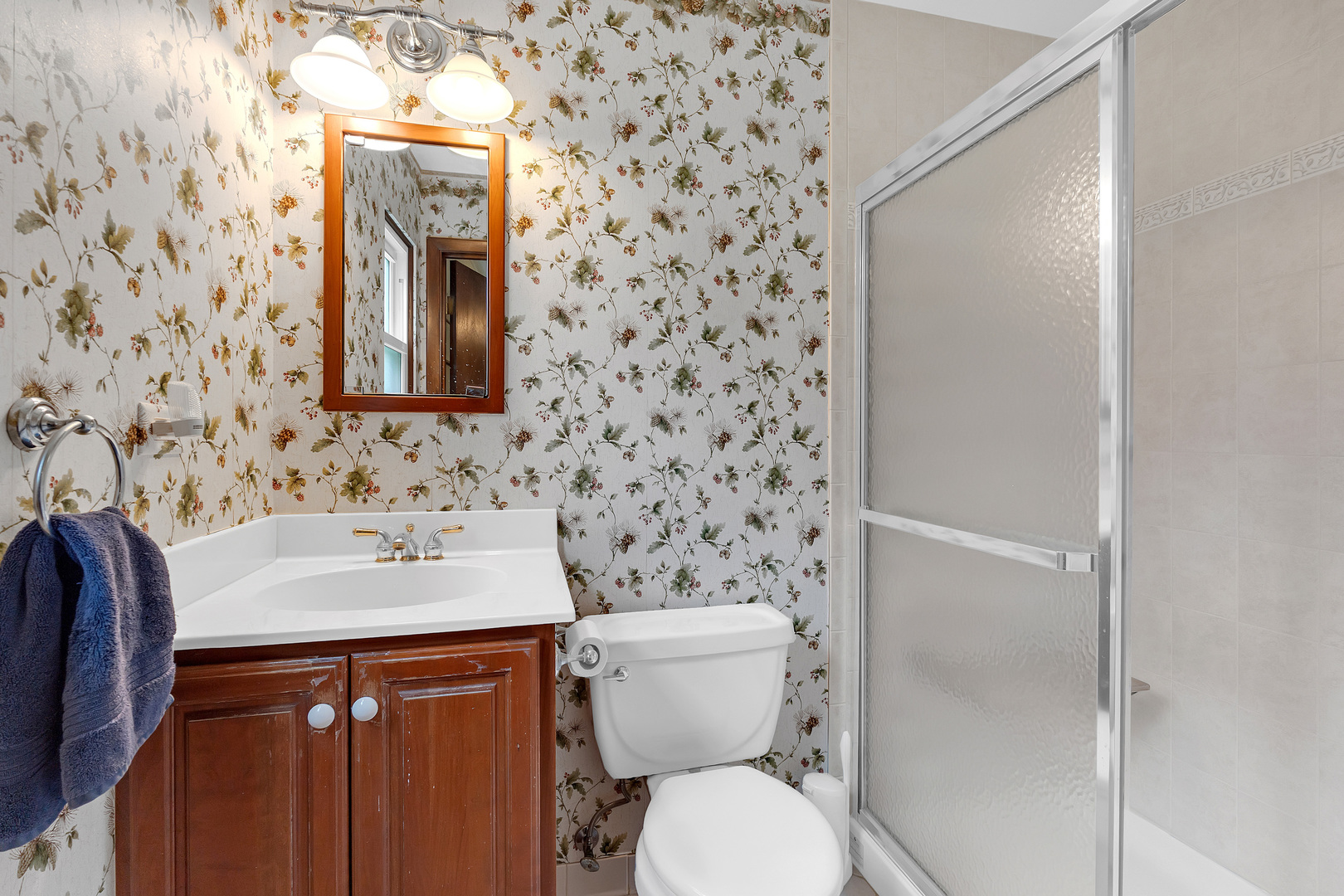 6313 Tamiami Drive Downers Grove IL 60516