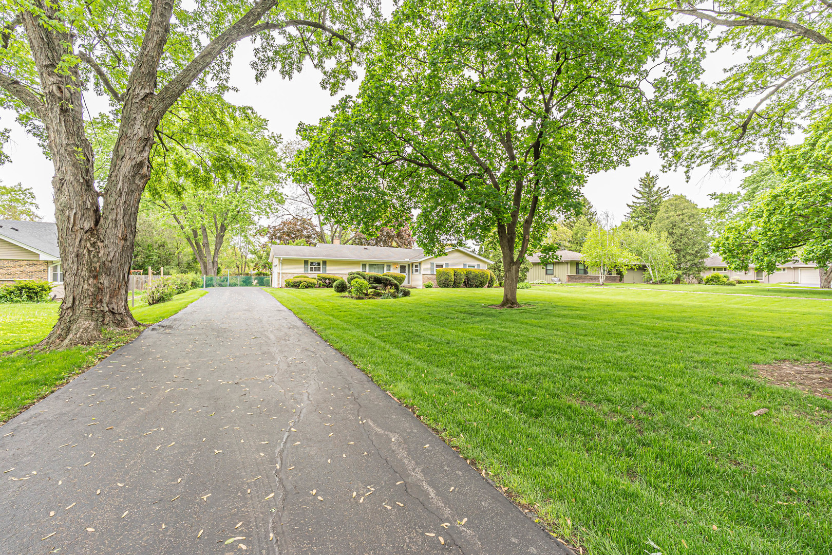 6313 Tamiami Drive Downers Grove IL 60516