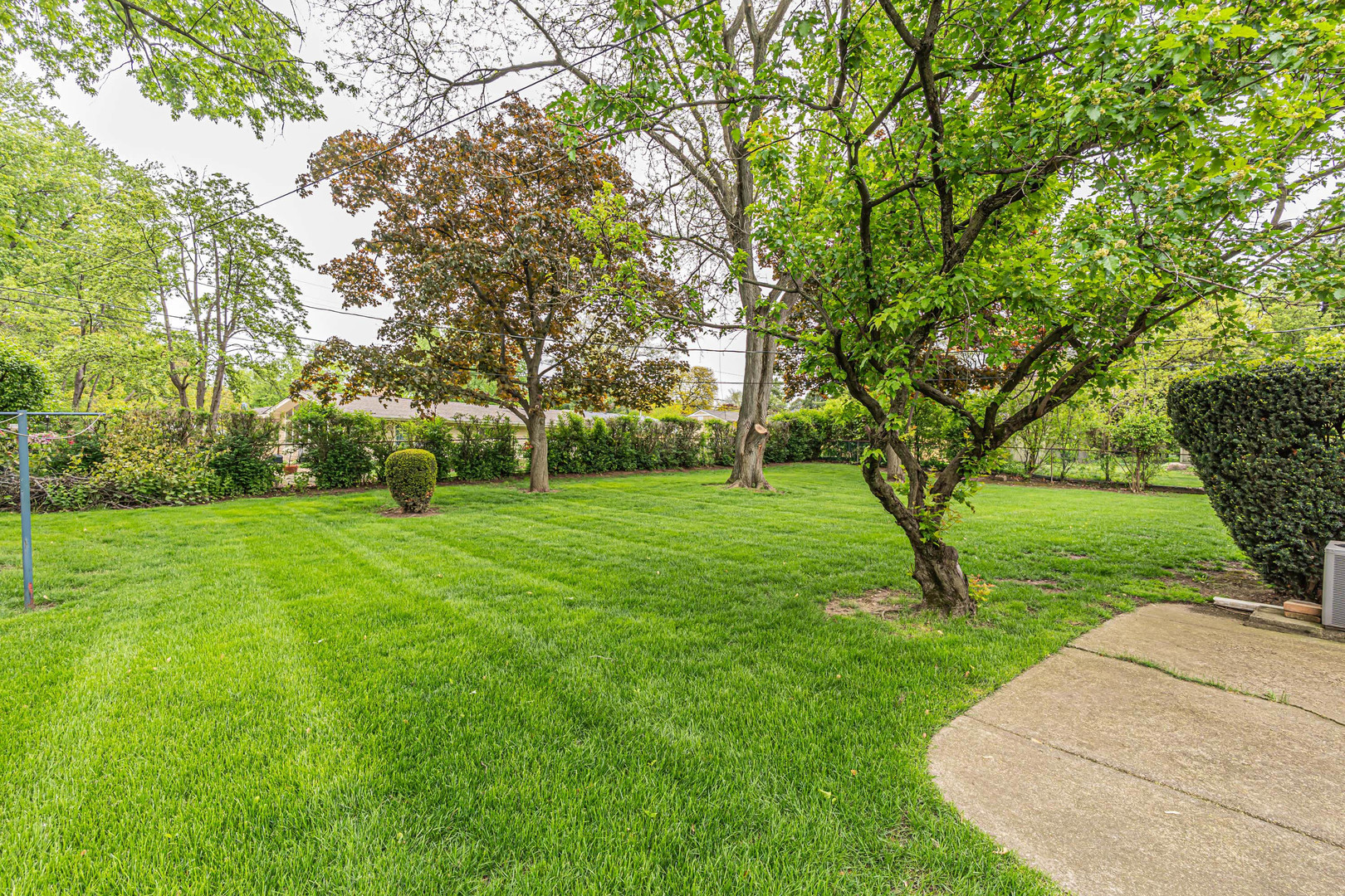 6313 Tamiami Drive Downers Grove IL 60516