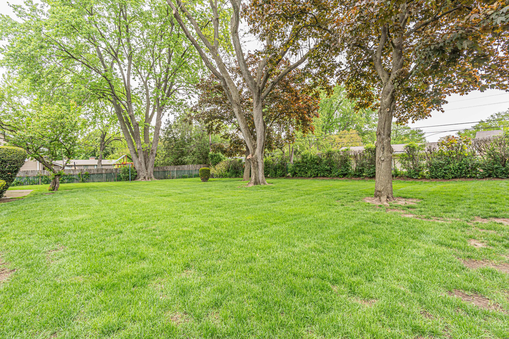 6313 Tamiami Drive Downers Grove IL 60516