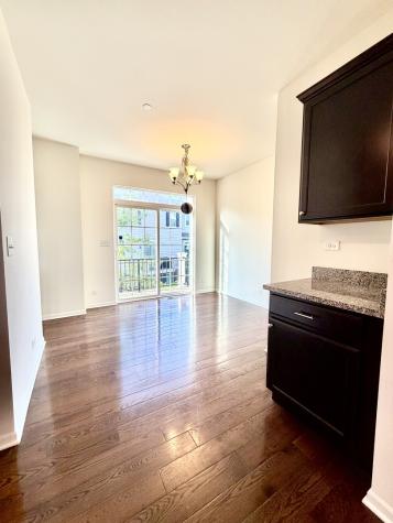 38 Neri Drive Schaumburg IL 60194