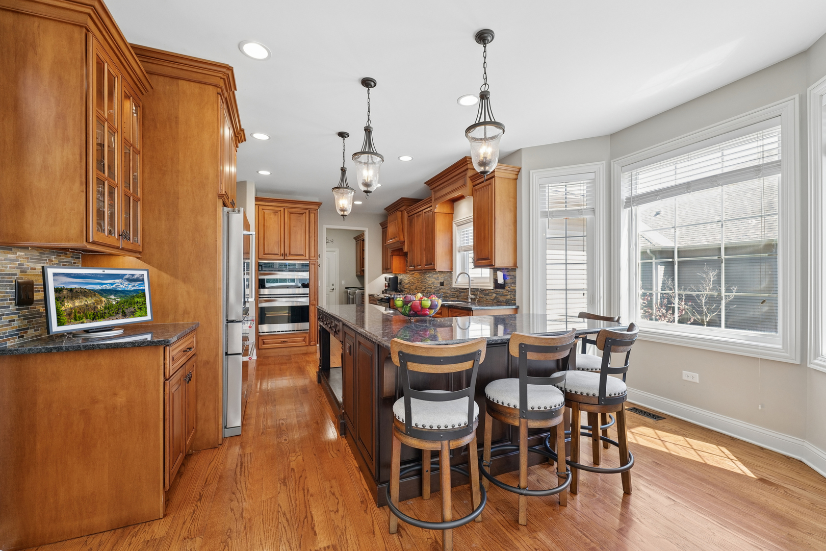 26009 West Stewart Ridge Drive Plainfield IL 60585