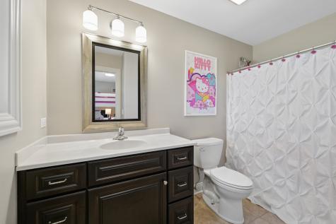 26009 West Stewart Ridge Drive Plainfield IL 60585