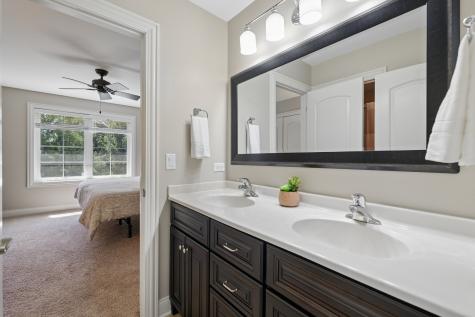 26009 West Stewart Ridge Drive Plainfield IL 60585