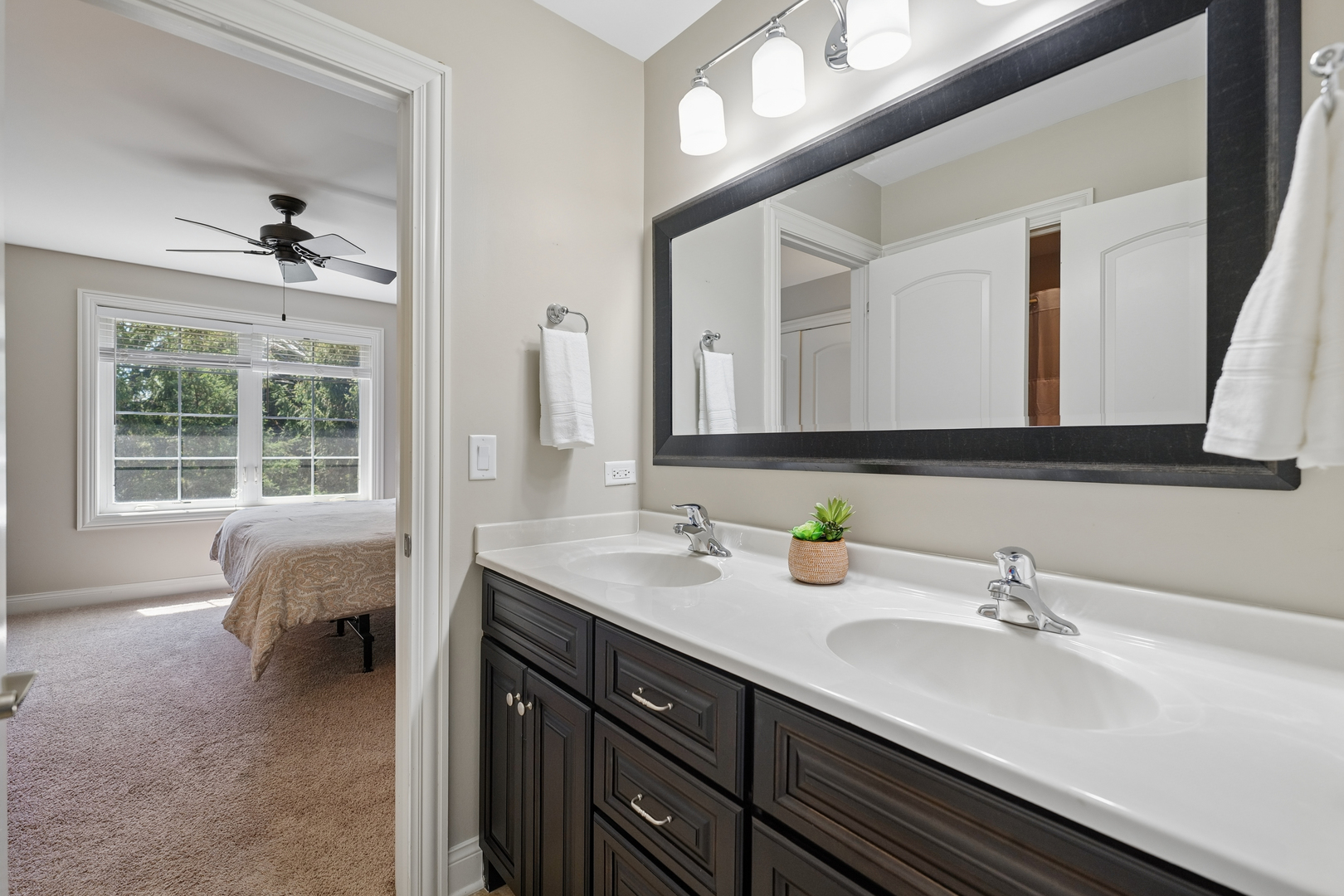 26009 West Stewart Ridge Drive Plainfield IL 60585