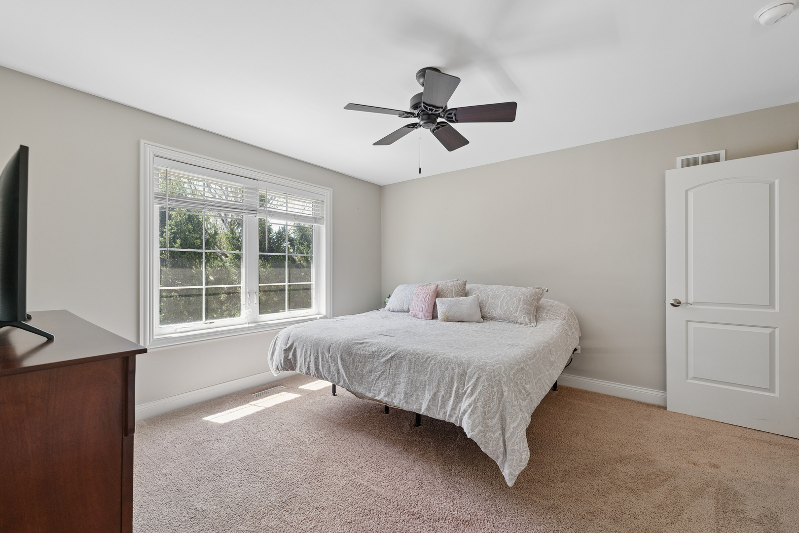 26009 West Stewart Ridge Drive Plainfield IL 60585