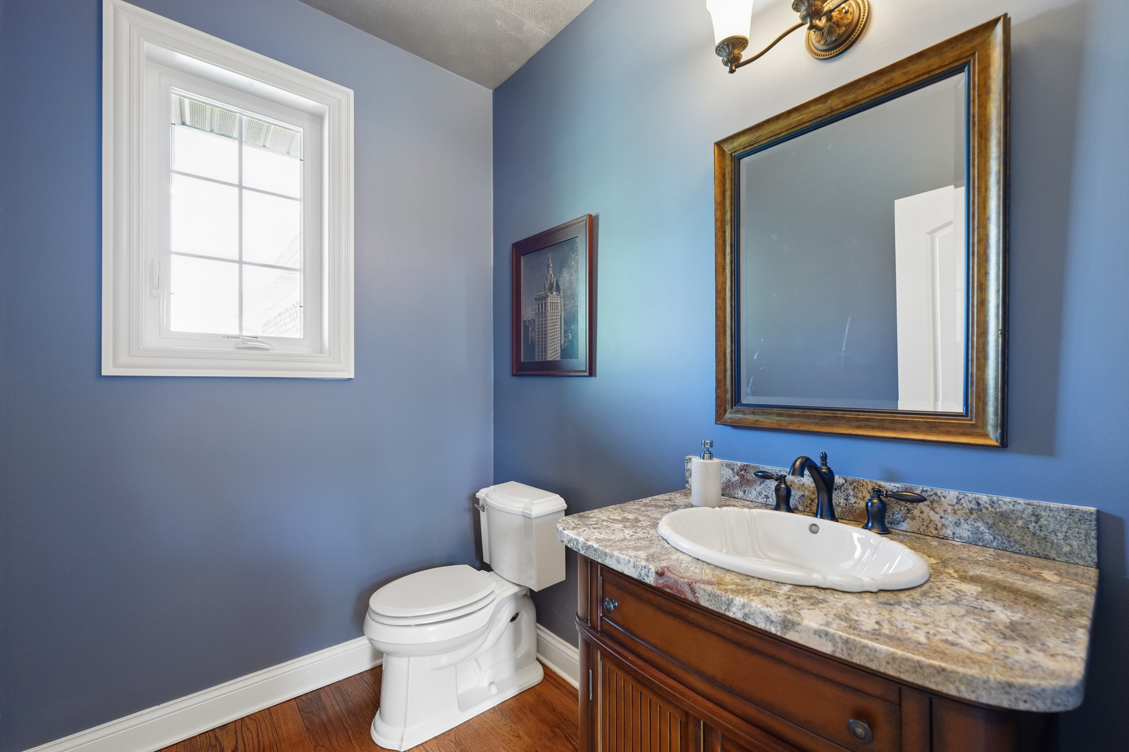 26009 West Stewart Ridge Drive Plainfield IL 60585