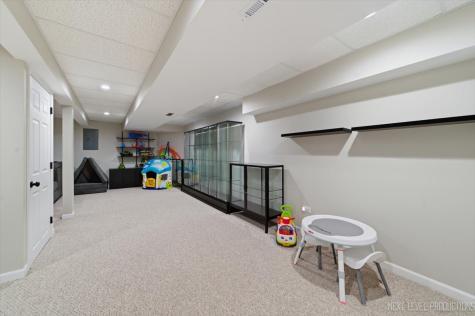 1754 Briggs Court Lisle IL 60532