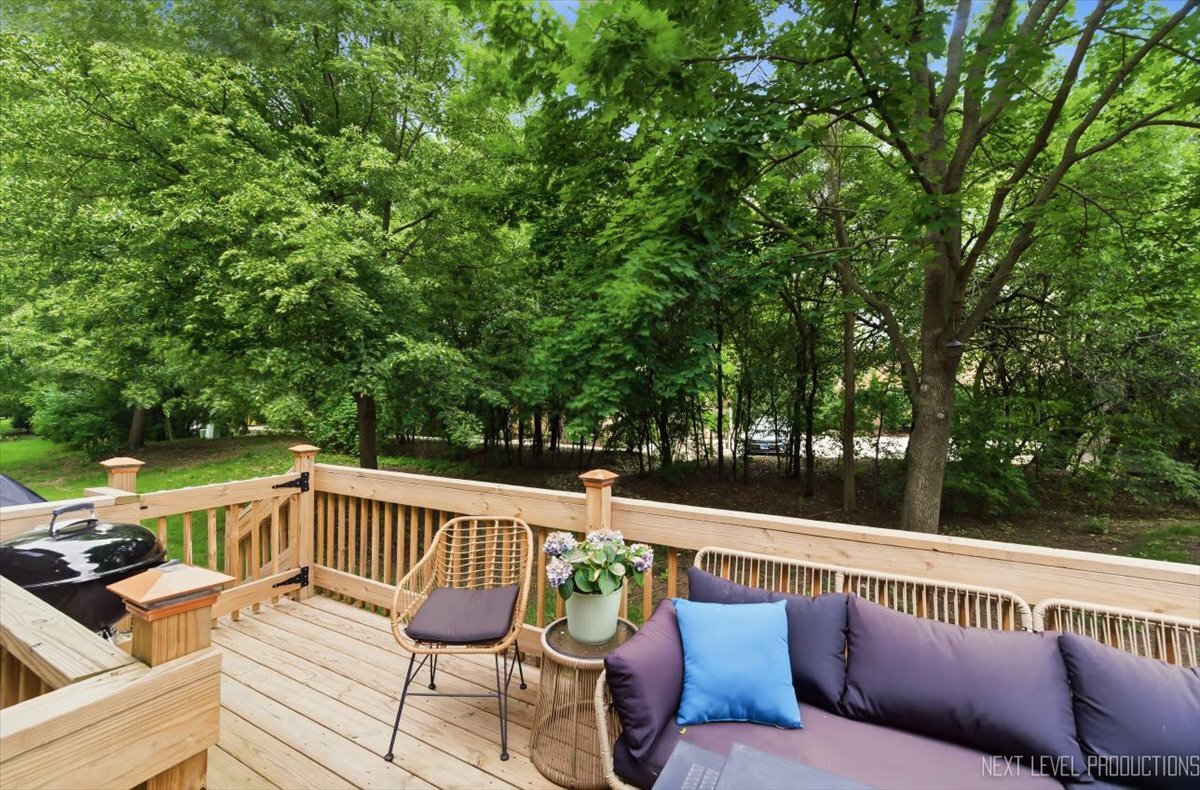 1754 Briggs Court Lisle IL 60532