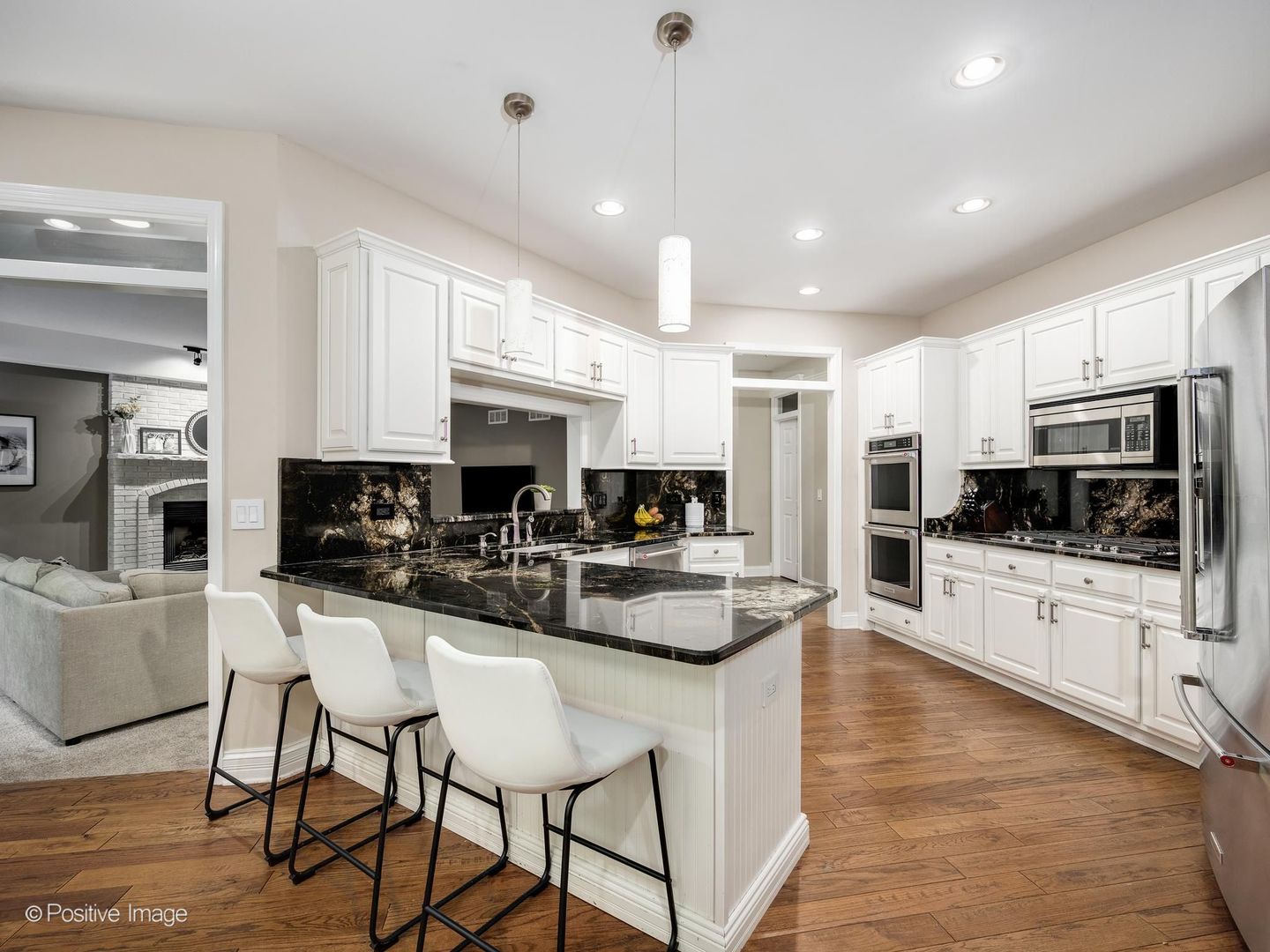 3190 Wild Meadow Lane Aurora IL 60504