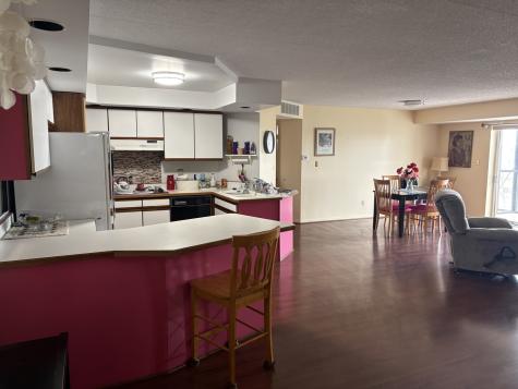 1133 7TH Street Rochelle IL 60168