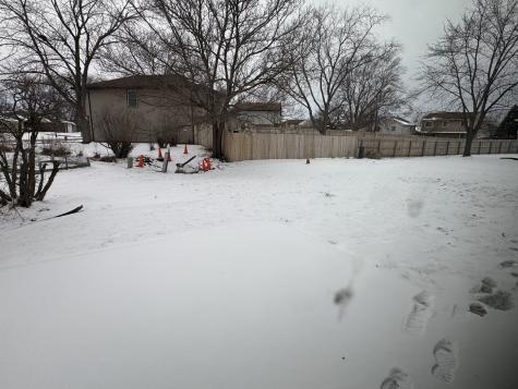 22510 Latonia Lane Richton Park IL 60471