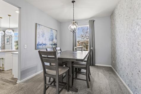 804 Feeney Drive Minooka IL 60447