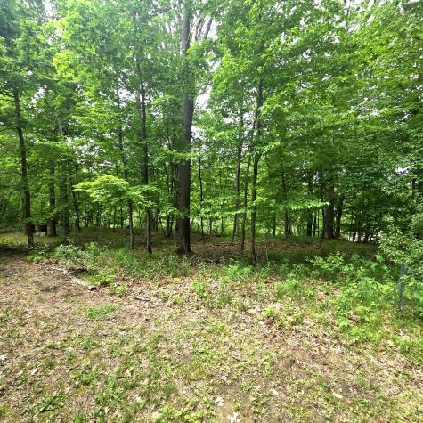 287 Lake Thunderbird Drive Putnam IL 61560