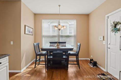 217 Ridge Road North Aurora IL 60542