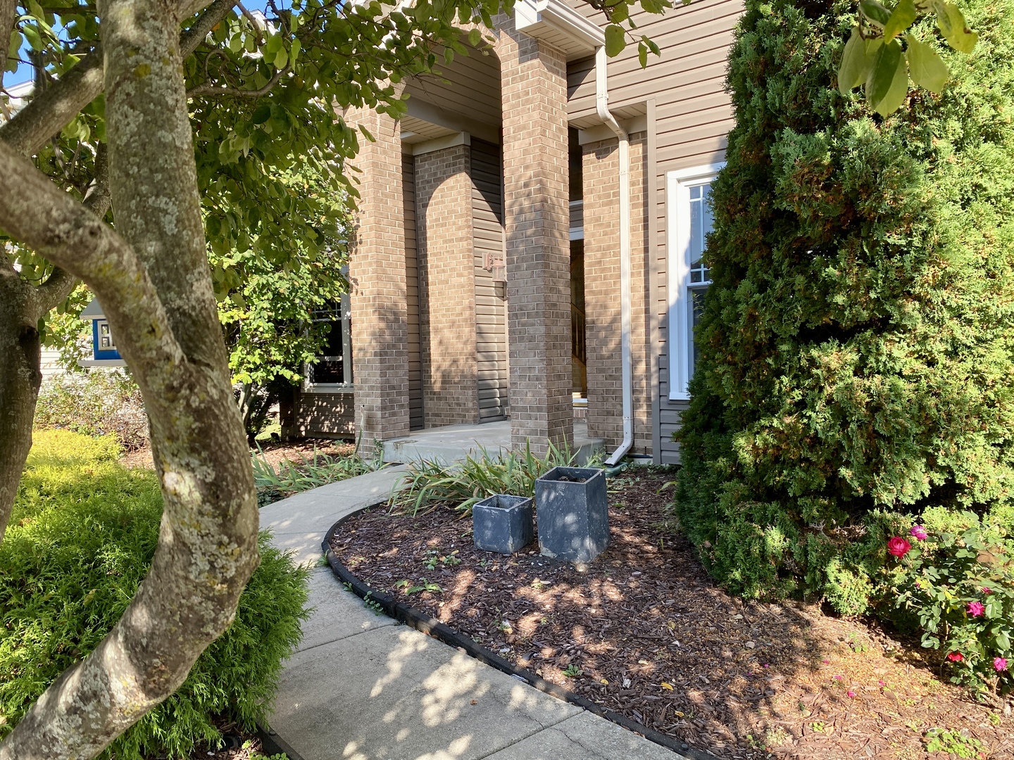 2412 Avalon Court Aurora IL 60503