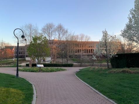 305 Tanglewood Lane Naperville IL 60563