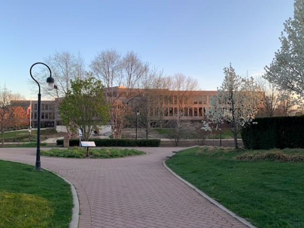 305 Tanglewood Lane Naperville IL 60563