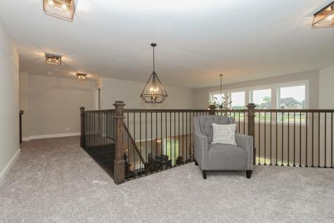 11130 Tuscany Court Lemont IL 60439