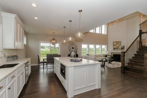 11130 Tuscany Court Lemont IL 60439