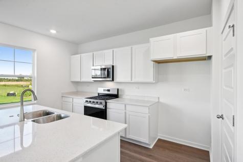 13530 South Coronado Circle Plainfield IL 60544