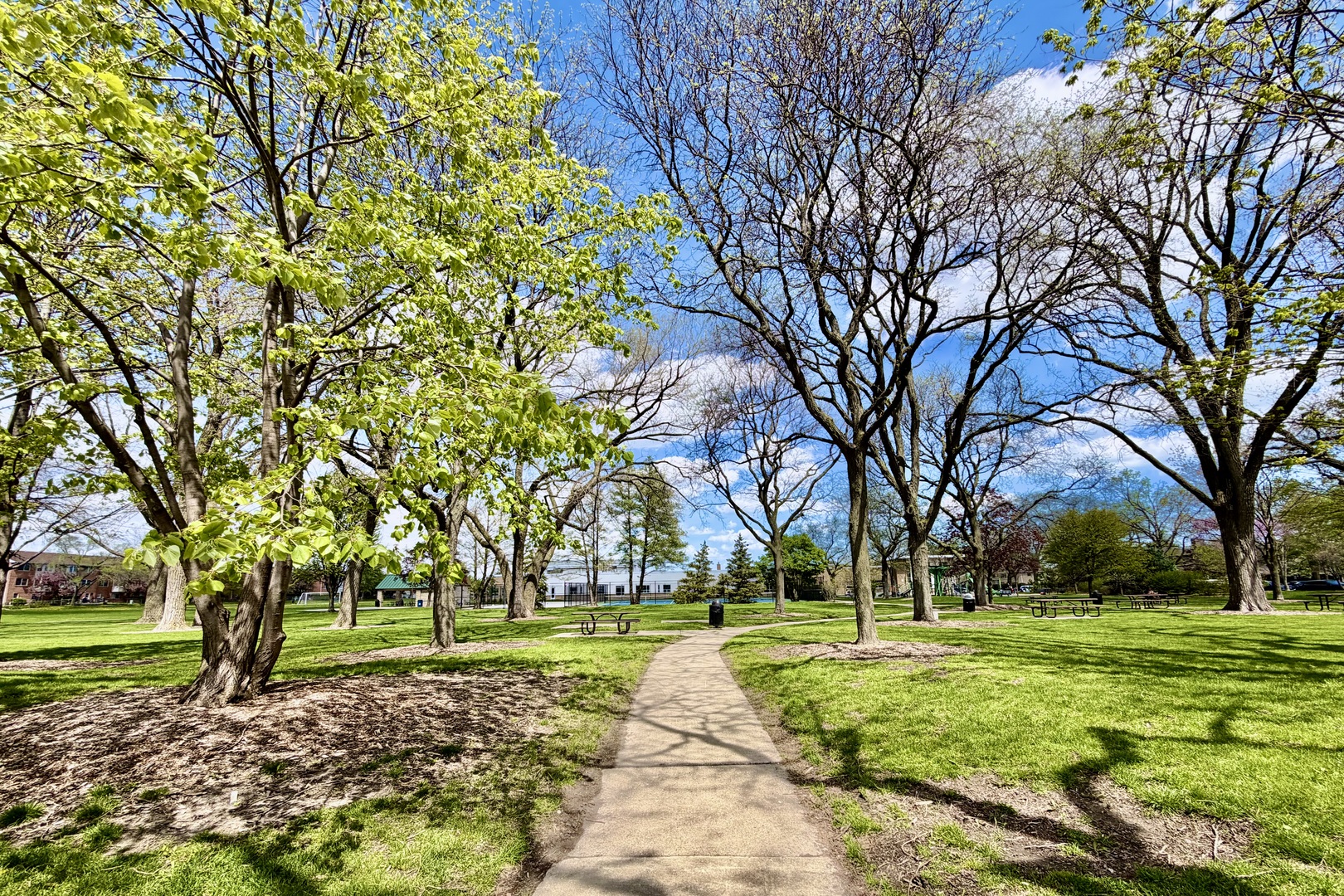 6850 Latrobe Avenue Skokie IL 60077