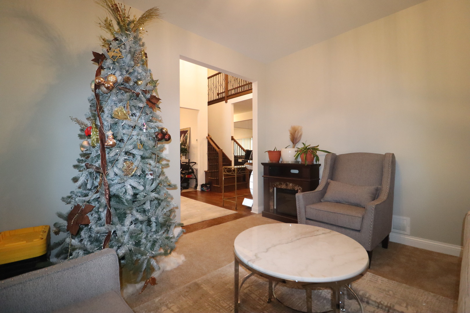 4215 Chinaberry Lane Naperville IL 60564