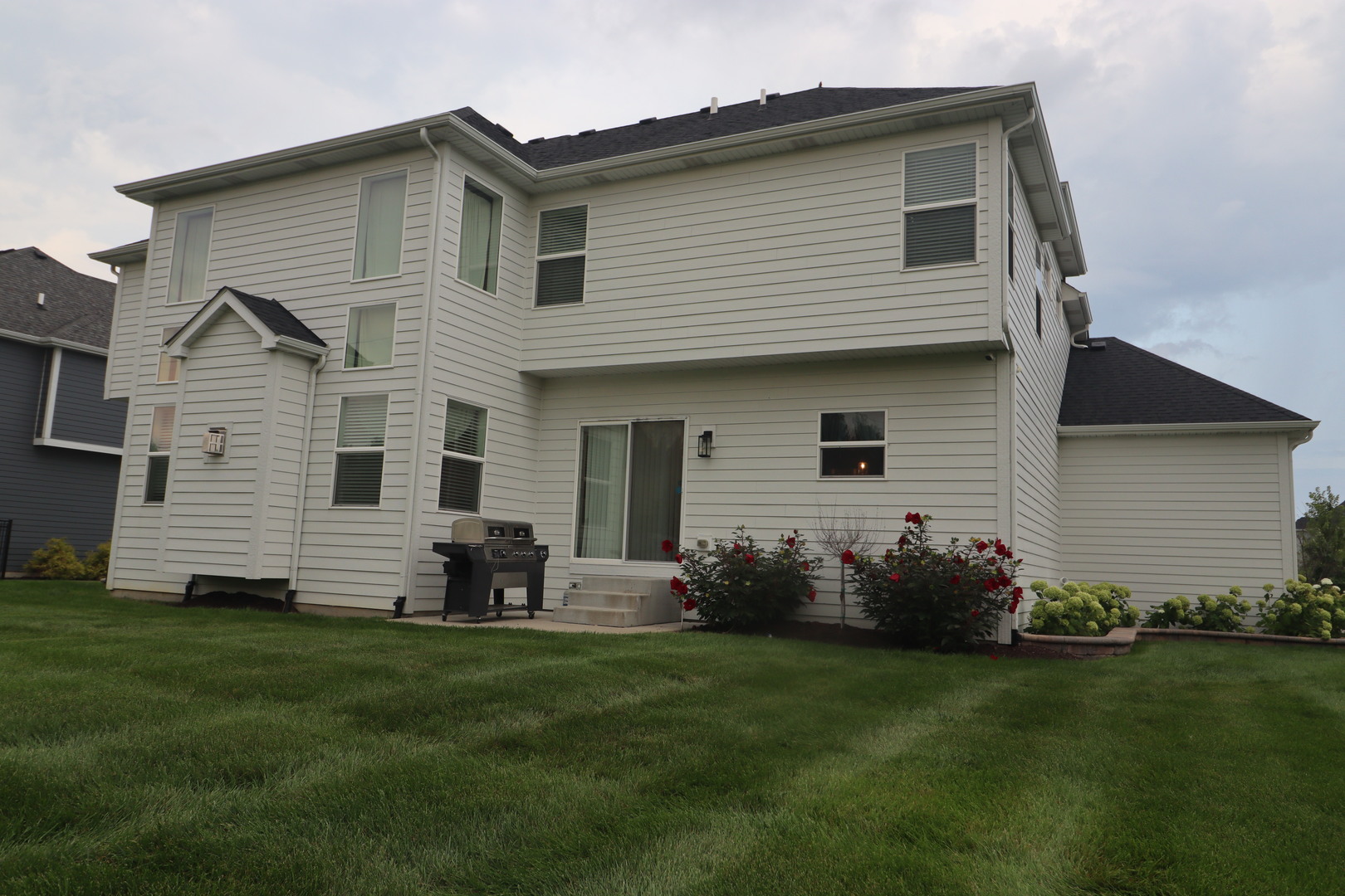 4215 Chinaberry Lane Naperville IL 60564