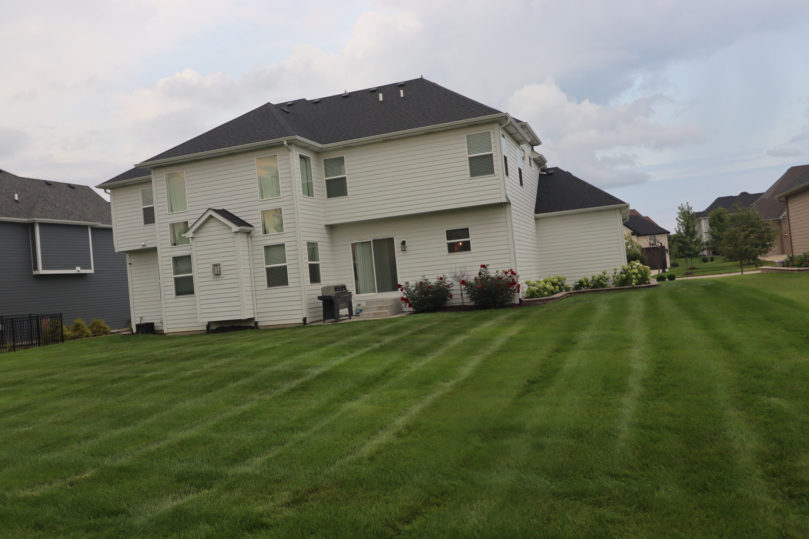 4215 Chinaberry Lane Naperville IL 60564