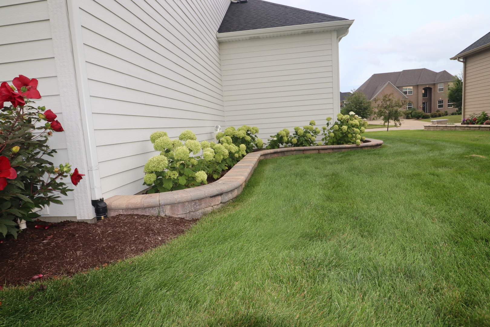 4215 Chinaberry Lane Naperville IL 60564