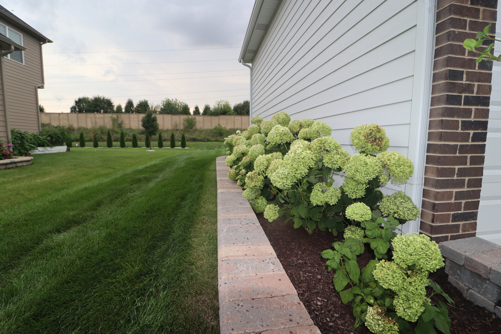 4215 Chinaberry Lane Naperville IL 60564