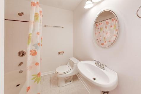 26955 North Countryside Lake Drive Mundelein IL 60060
