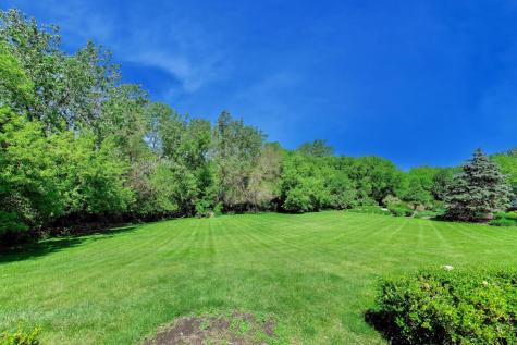 26955 North Countryside Lake Drive Mundelein IL 60060