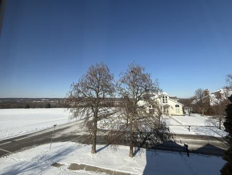 1004 Saddle Lane Lemont IL 60439