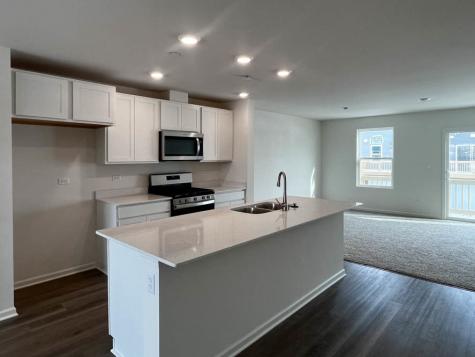 1324 Foxglove Drive Bartlett IL 60103