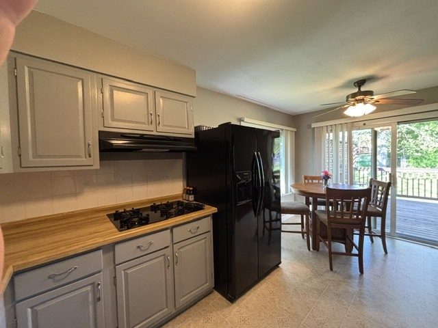 203 Cedarwood Lane Antioch IL 60002