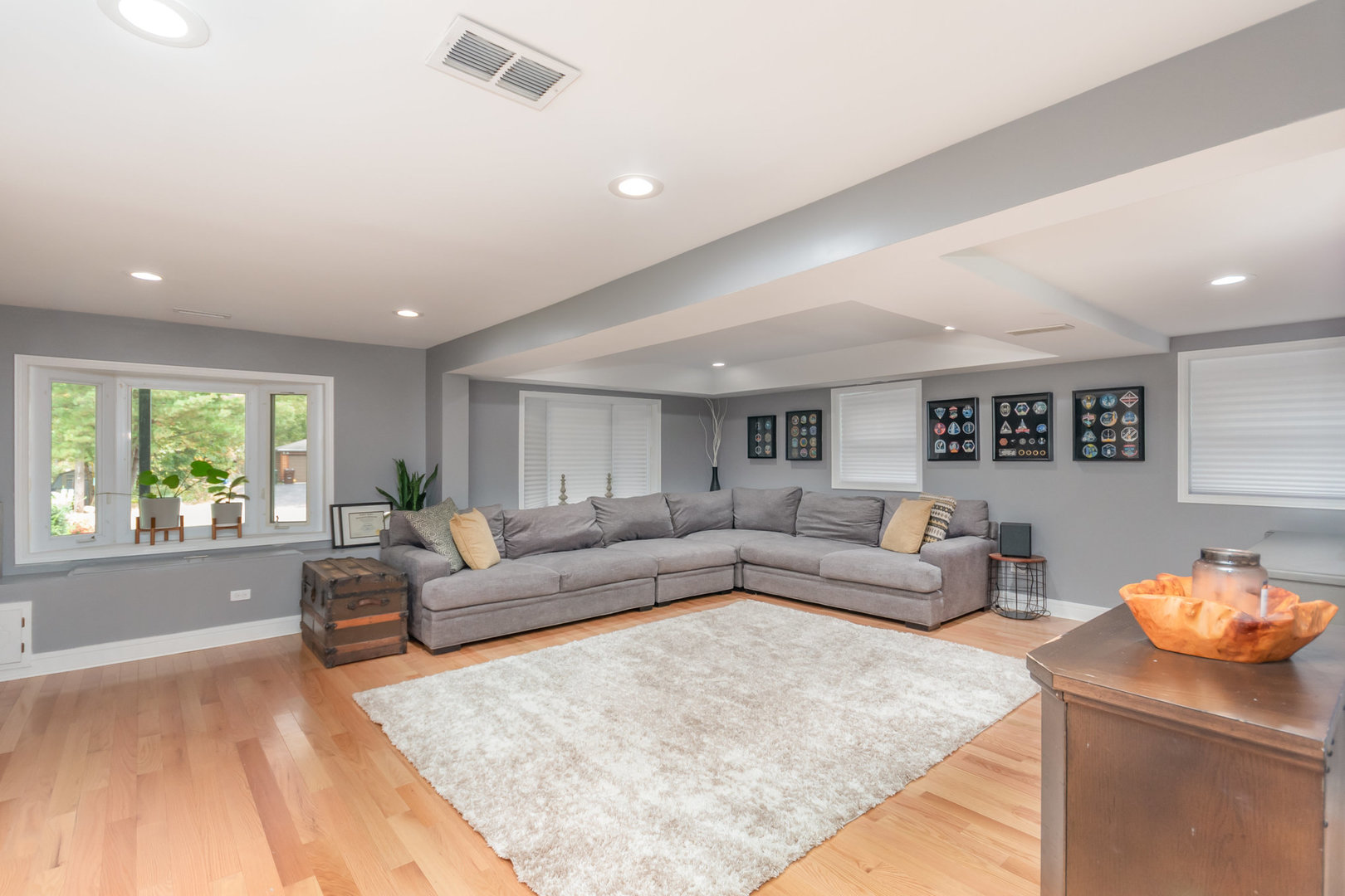 11051 West Elmwood Court Mokena IL 60448